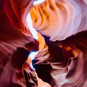 Meet your Posher, Grant